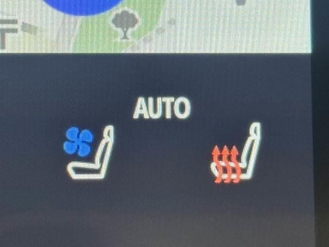 �y�V�[�g�x���`���[�V�����z�V�[�g���g�����Ȃ�����������Ȃ�܂��B�����G�߂⊦���G�߂ɂ��ꂵ�������ł��I