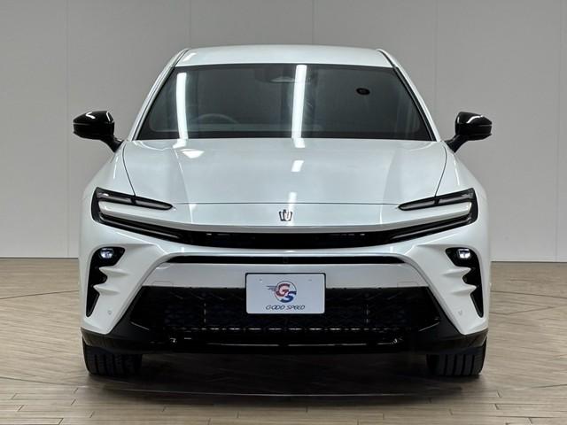 Ｚ　純正１２．３型ナビ／全周囲／黒革シート／デジタルミラー／パワーシート／シートベンチレーション／パワーバックドア／追従クルコン／ＢＳＭ／オートハイビーム／ＥＴＣ／ＬＥＤヘッドライト／スマートキー（画像28）