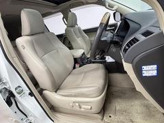 ޤݤ줿ƥꥢϡʡͤδäȹԤϤƤڵǤ 5