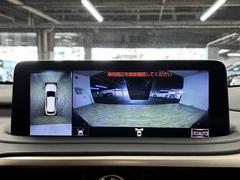 �������ϥ�˥����ۡ�����ޤ������鸫�������Ƥ��뤫�Τ褦�ˡ�ľ��Ū�˼��Ϥξ������İ��Ǥ��ޤ��� 4