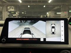 �������ϥ�˥����ۡ�����ޤ������鸫�������Ƥ��뤫�Τ褦�ˡ�ľ��Ū�˼��Ϥξ������İ��Ǥ��ޤ��� 4