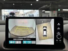 �������ϥ�˥����ۡ�����ޤ������鸫�������Ƥ��뤫�Τ褦�ˡ�ľ��Ū�˼��Ϥξ������İ��Ǥ��ޤ��� 4