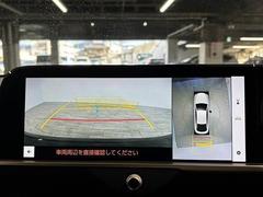 �������̥�˥����ۡ�����ޤ������鸫�������Ƥ��뤫�Τ褦�ˡ�ľ��Ū�˼��Ϥξ������İ��Ǥ��ޤ��� 4