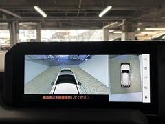 �������ϥ�˥����ۡ�����ޤ������鸫�������Ƥ��뤫�Τ褦�ˡ�ľ��Ū�˼��Ϥξ������İ��Ǥ��ޤ��� 4