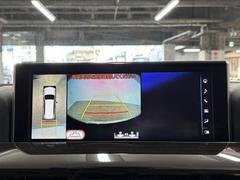 �������ϥ�˥����ۡ�����ޤ������鸫�������Ƥ��뤫�Τ褦�ˡ�ľ��Ū�˼��Ϥξ������İ��Ǥ��ޤ��� 4