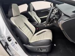 �����ޤ������ݤ��줿����ƥꥢ�ϡ��������ʡ��ͤδ��������ä���ȹԤ��Ϥ��Ƥ���ڵ�Ǥ��� 5