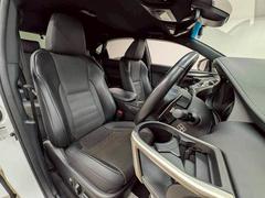 �����ޤ������ݤ��줿����ƥꥢ�ϡ��������ʡ��ͤδ��������ä���ȹԤ��Ϥ��Ƥ���ڵ�Ǥ��� 5