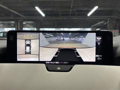 �������ϥ�˥����ۡ�����ޤ������鸫�������Ƥ��뤫�Τ褦�ˡ�ľ��Ū�˼��Ϥξ������İ��Ǥ��ޤ��� 4