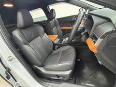 �����ޤ������ݤ��줿����ƥꥢ�ϡ��������ʡ��ͤδ��������ä���ȹԤ��Ϥ��Ƥ���ڵ�Ǥ��� 5