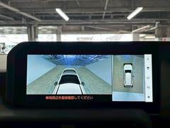 �������ϥ�˥����ۡ�����ޤ������鸫�������Ƥ��뤫�Τ褦�ˡ�ľ��Ū�˼��Ϥξ������İ��Ǥ��ޤ��� 4