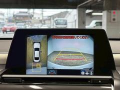 �������ϥ�˥����ۡ�����ޤ������鸫�������Ƥ��뤫�Τ褦�ˡ�ľ��Ū�˼��Ϥξ������İ��Ǥ��ޤ��� 4