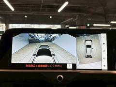 �������ϥ�˥����ۡ�����ޤ������鸫�������Ƥ��뤫�Τ褦�ˡ�ľ��Ū�˼��Ϥξ������İ��Ǥ��ޤ��� 4