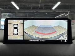 �������ϥ����ۡ�����ޤ������鸫�������Ƥ��뤫�Τ褦�ˡ�ľ��Ū�˼��Ϥξ������İ��Ǥ��ޤ��� 4