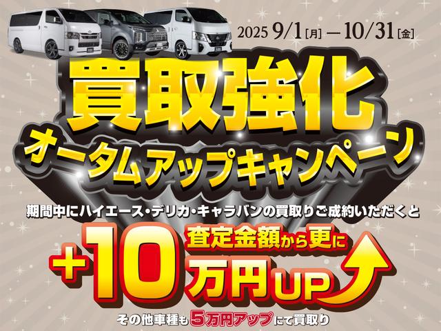 デリカＤ：５ シャモニー　三菱／登録済未使用車／シャモニー／８人乗り／ディーゼル／４ＷＤ／シートヒーター／／電動サイドステップ装着車／８人乗り／アルパイン／ビッグＸ１１インチナビ／フリップダウンモニター／１６インチ社外ホイール（3枚目）