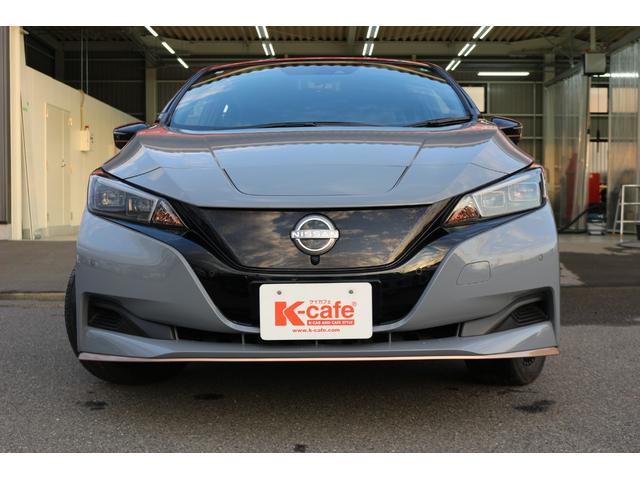 リーフ ｅ＋　Ｘ　９０周年記念車　ＥＴＣ　全周囲カメラ　ナビ　ＴＶ　クリアランスソナー　オートクルーズコントロール　衝突被害軽減システム　オートライト　ＬＥＤヘッドランプ　スマートキー　電動格納ミラー　シートヒーター（37枚目）