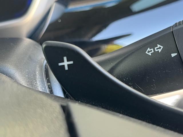 スペーシアカスタム ハイブリッドＸＳターボ　ドライブレコーダー　ＥＴＣ　全周囲カメラ　両側電動スライドドア　ナビ　ＴＶ　クリアランスソナー　オートクルーズコントロール　レーンアシスト　衝突被害軽減システム　オートライト　ＬＥＤヘッドランプ（29枚目）