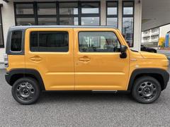 �ϥ��顼 �ϥ��֥�åɣǡ����ꥢ��󥹥��ʡ��������ȥ��롼������ȥ����롡�졼�󥢥����ȡ������ﳲ�ڸ������ƥ� 0804936A30250828W004 7