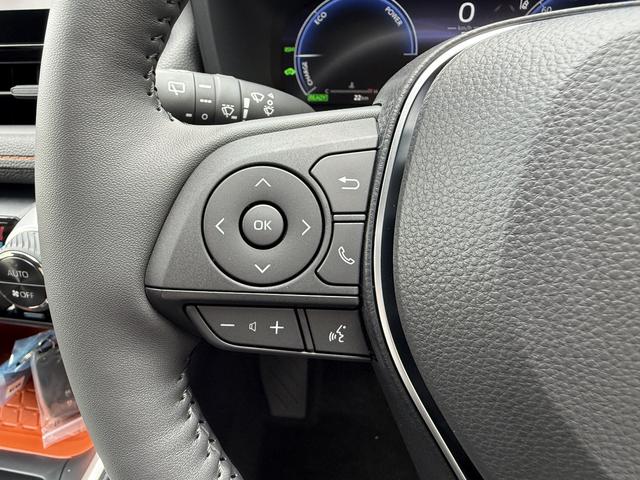 ＲＡＶ４ ハイブリッドアドベンチャー　４ＷＤ　バックカメラ　クリアランスソナー　オートクルーズコントロール　レーンアシスト　パワーシート　衝突被害軽減システム　ＴＶ　オートマチックハイビーム　オートライト　ＬＥＤヘッドランプ（29枚目）