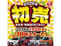 �Ρݣ£ϣإ������� �����ǥ��͡��ȥ������롡�Хå�����顡ξ¦��ư���饤�ɥɥ������ꥢ��󥹥��ʡ��������ȥ��롼������ȥ����� 0804937A30251128W002 7