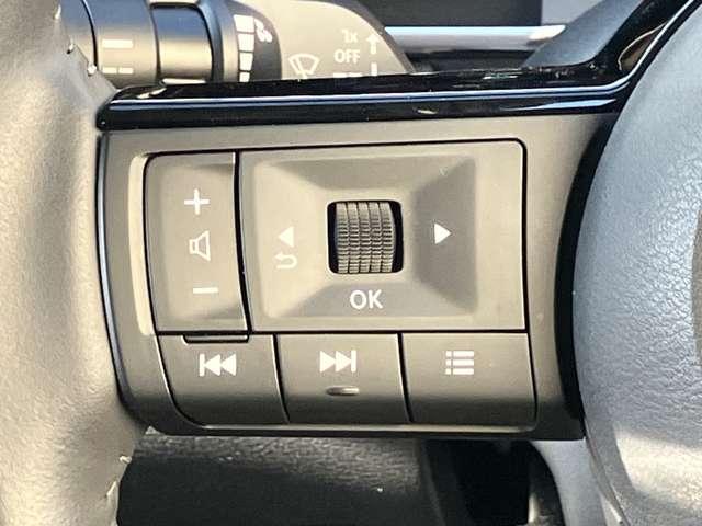 オーラ G レザーエディション ワンオーナ 追突防止 レーダークルーズ 車線逸脱警報装置 寒冷地仕様 禁煙車 LED 盗難防止 記録簿 バックモニター ETC インテリジェントキー メモリーナビゲーション AW キーレスエントリー(12枚目)