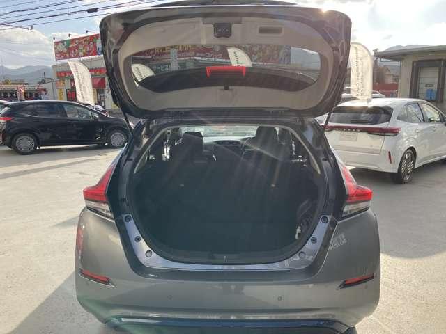 �T����Ԏ��̃��Q�b�W���[���B������Ƃ������������Ȃǂɂ͏\���ȍL�����m�ۂ��Ă��܂��B