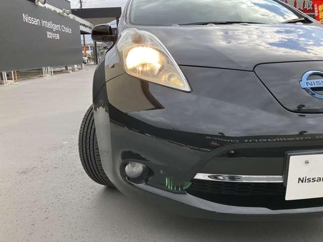 �n���Q���w�b�h���C�g�ƃt�H�O�����v�ɂȂ�܂��B�ЊO�k�d�c�w�b�h���C�g����舵�����Ă���܂��B