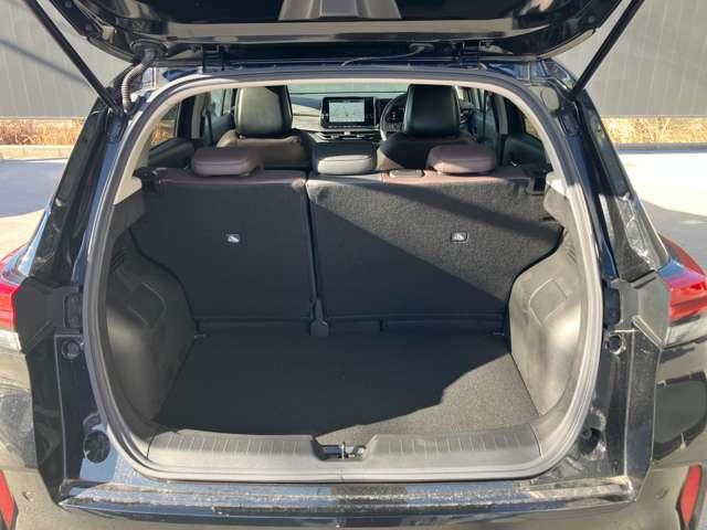 �T����Ԏ��̃��Q�b�W���[���B������Ƃ������������Ȃǂɂ͏\���ȍL�����m�ۂ��Ă��܂��B