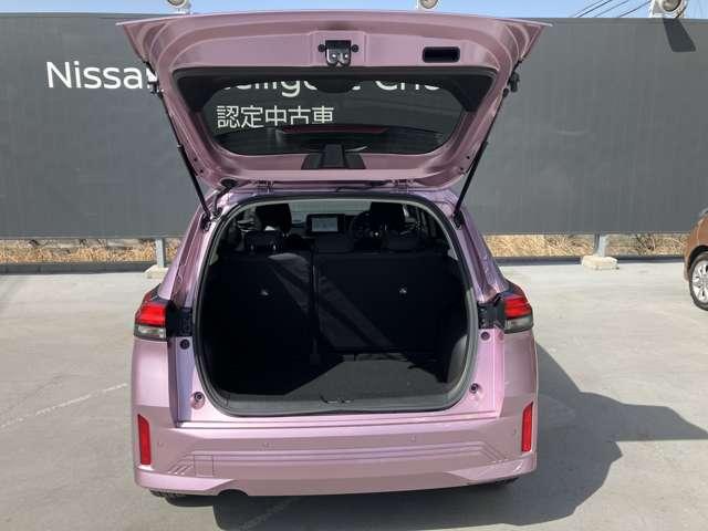 �T����Ԏ��̃��Q�b�W���[���B������Ƃ������������Ȃǂɂ͏\���ȍL�����m�ۂ��Ă��܂��B