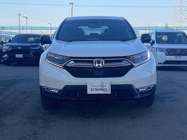 ���̓x�͐������̒��ÎԔ̔��X�̒����A���Ђ̕����̉{�������Ă��������L��������܂��B���s���ȓ_��������܂����炨�C�y�ɂ��⍇���������B�S��肨�҂��v���ċ���܂��B