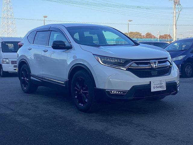 �f�ڂ̖����ԗ�������݌ɂ����T�����Ă���Ă����Ē����Ă���܂��B����]�̎Ԃ���������Ȃ��ꍇ�����C�y�ɂ��₢���킹���������I