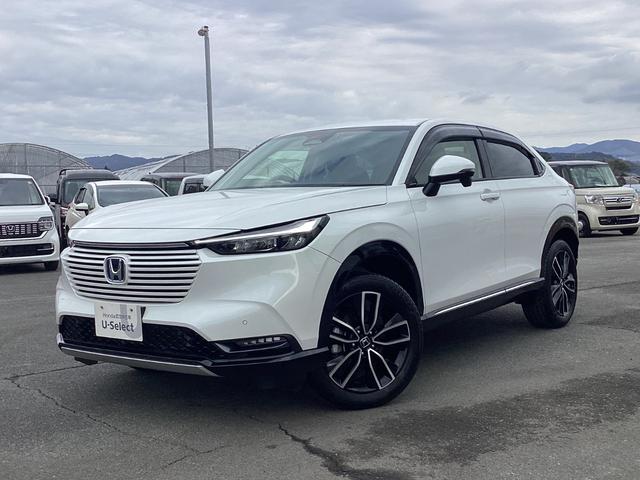 ���������Q�O���_�̃l�b�g���[�N�ŃT�|�[�g���S���[�ԁ��ۏؑΉ��o���܂������S��񋟒v���܂��I