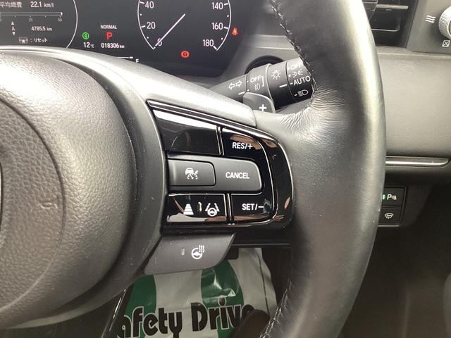 �X�e�A�����O�ɂ́A�֗��ȃX�e�A�����O�X�C�b�`��A��葬�x�ɑ��s�𐧌�ł���N���[�Y�R���g���[���X�C�b�`�𑕔��I