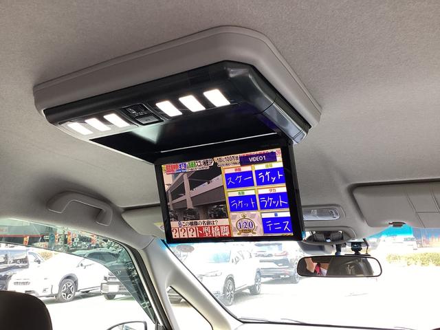 �J���b�c�F���A���[�t���j�^�[