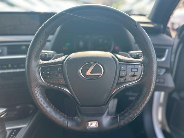 ＵＸ ＵＸ２５０ｈ　Ｆスポーツ　ムーンルーフ　パノラミックビューモニター　三眼ヘッドランプ　セーフティシステムプラス　ブラインドスポットモニター　革スポーツシート　ハンズフリーパワーバックドア　カラーヘッドアップディスプレイ（22枚目）