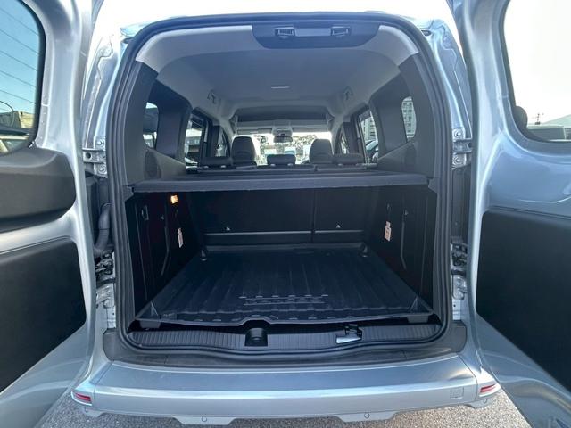 カングー インテンス(12枚目)