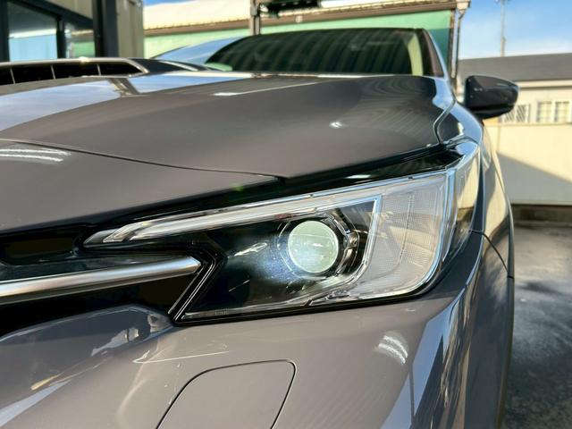 �t���k�d�c�w�b�h���C�g���X�e�A�����O�A���w�b�h�����v�i�r�q�g�j���I�[�g�n�C�r�[��