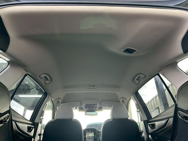 ���[�t���C�j���O���Y��ł��I