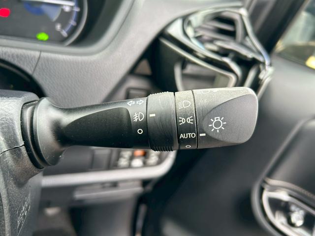 ���I�[�g���C�g��