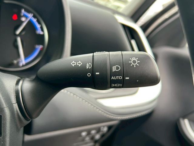 ���Z�[�t�e�B�Z���X�i�v���N���b�V���Z�[�t�e�B�E���[�_�[�N���[�Y�R���g���[���E�I�[�g�}�`�b�N�n�C�r�[���E���[���f�B�p�[�`���[�A���[�g�j��