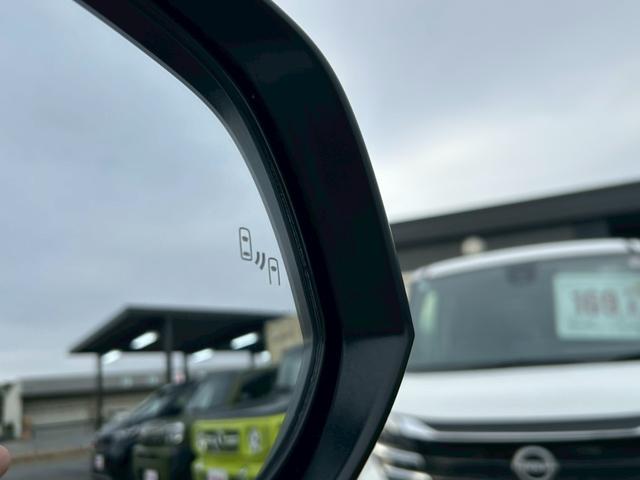 ���u���C���h�X�|�b�g���j�^�[��