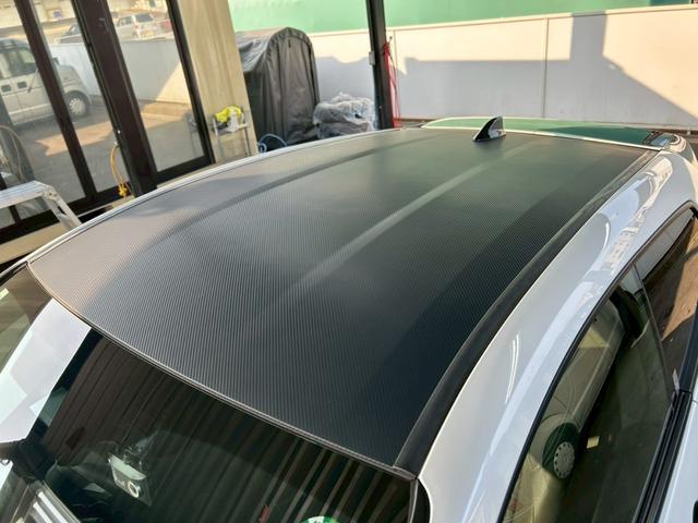 �J�[�{�����[�t