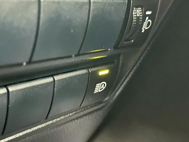 �k�d�c�I�[�g�n�C�r�[��