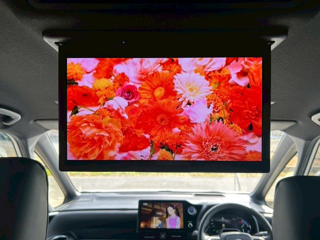 �������P�R�D�Q�C���`��ȃ��j�^�[��