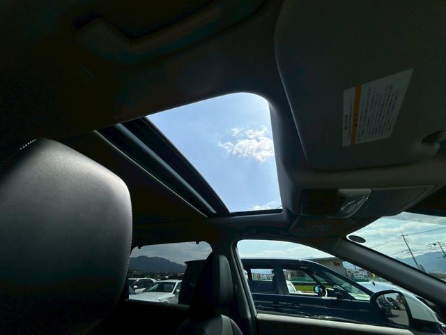 ���p�m���~�b�N�K���X���[�t��