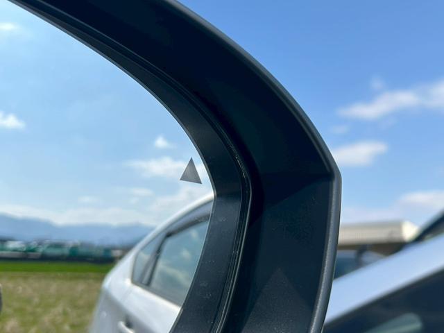 ���u���C���h�X�|�b�g���j�^�[��