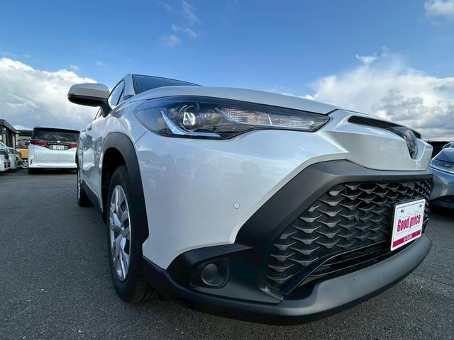 ���k�d�c�w�b�h���C�g��