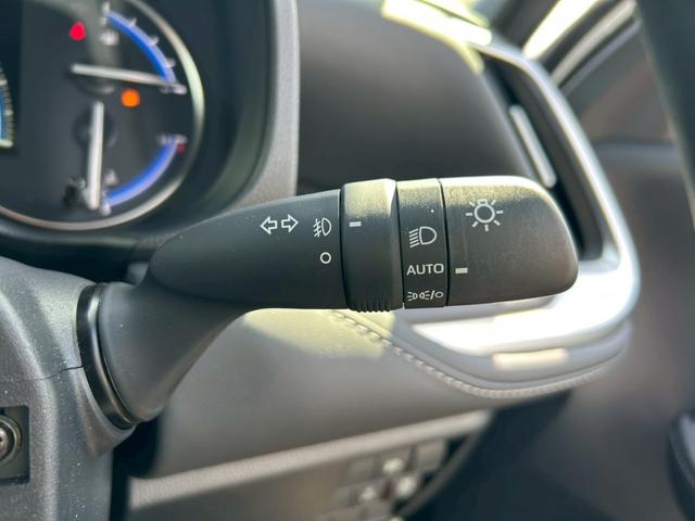 ���I�[�g���C�g���A�_�v�e�B�u�n�C�r�[����