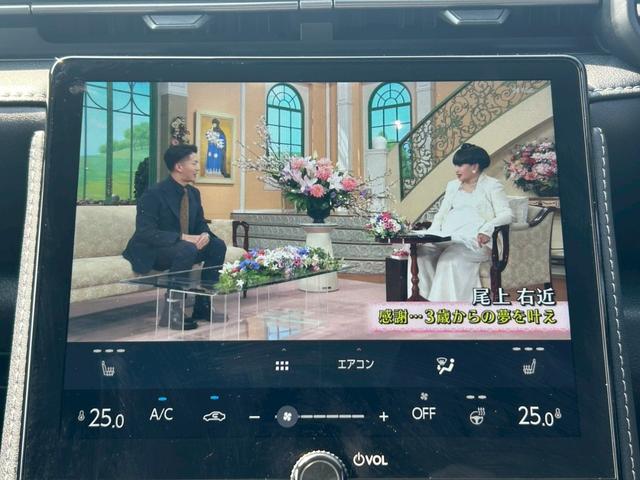 ���X�D�W�C���`�f�B�X�v���C�I�[�f�B�I���i�r���p�m���~�b�N�r���[���j�^�[���t���Z�O�s�u���Z�[�t�e�B�V�X�e���v���X��