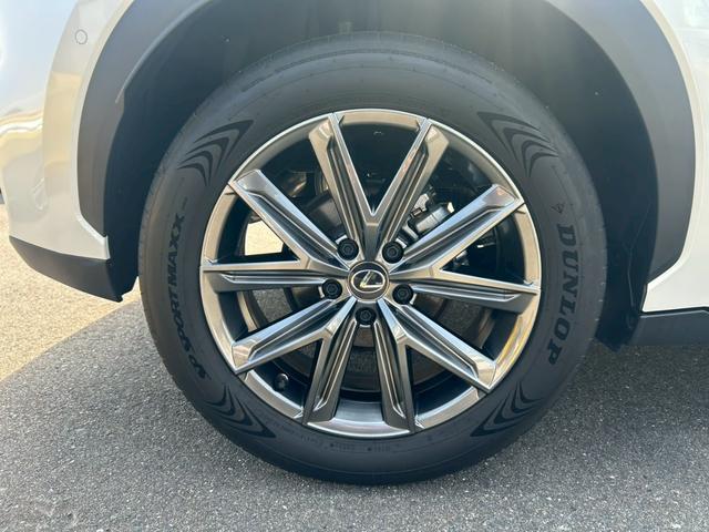 ���Q�Q�T�^�T�T�q�P�W��