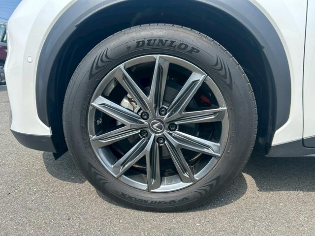 ���Q�Q�T�^�T�T�q�P�W��